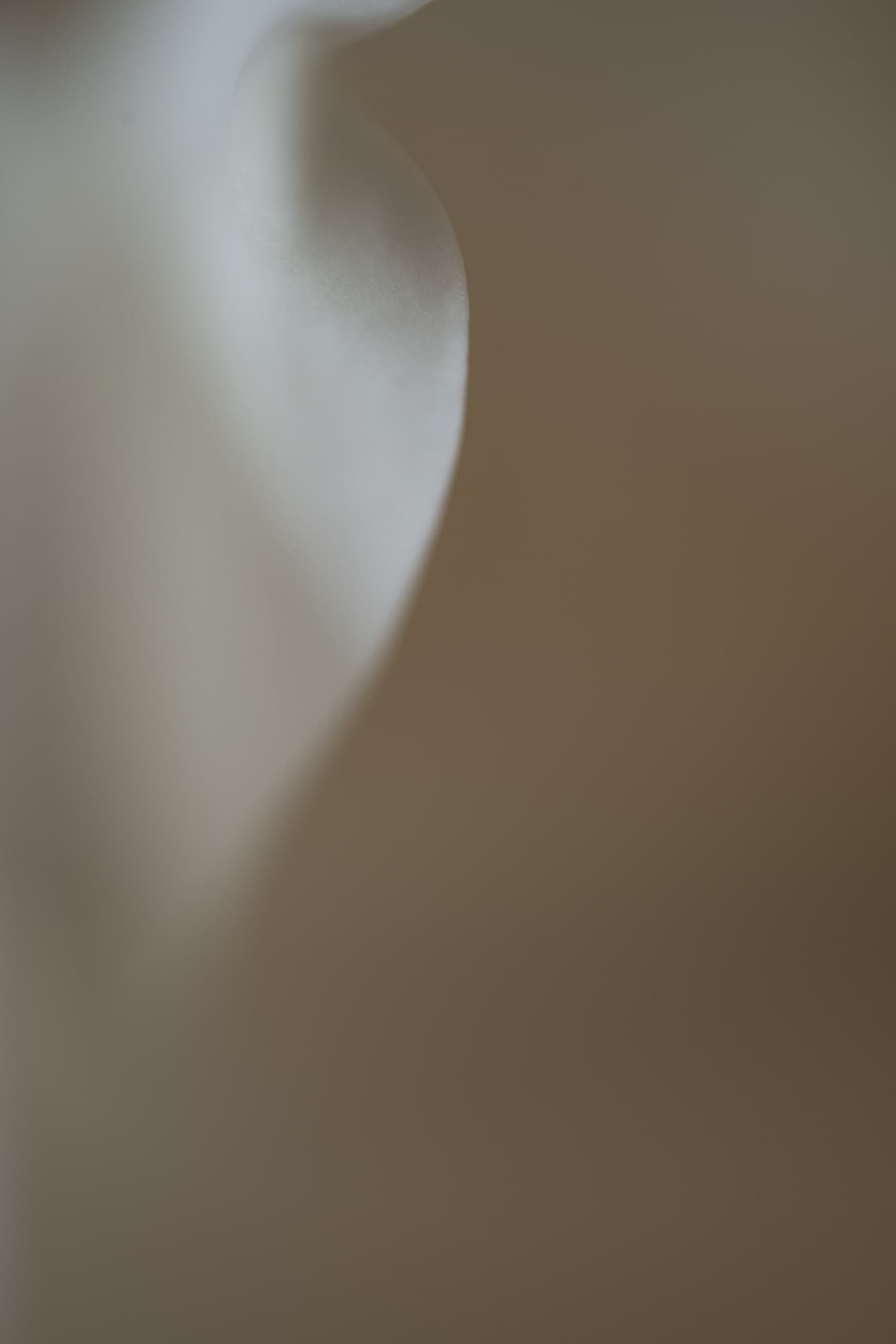 She, artwork