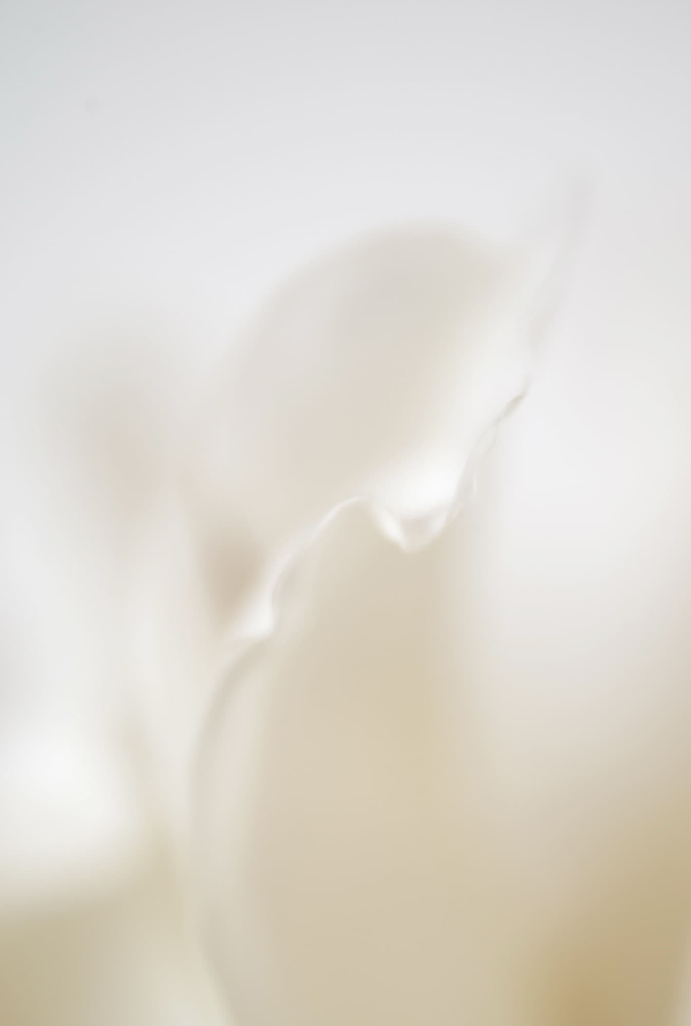 Tranquility, artwork