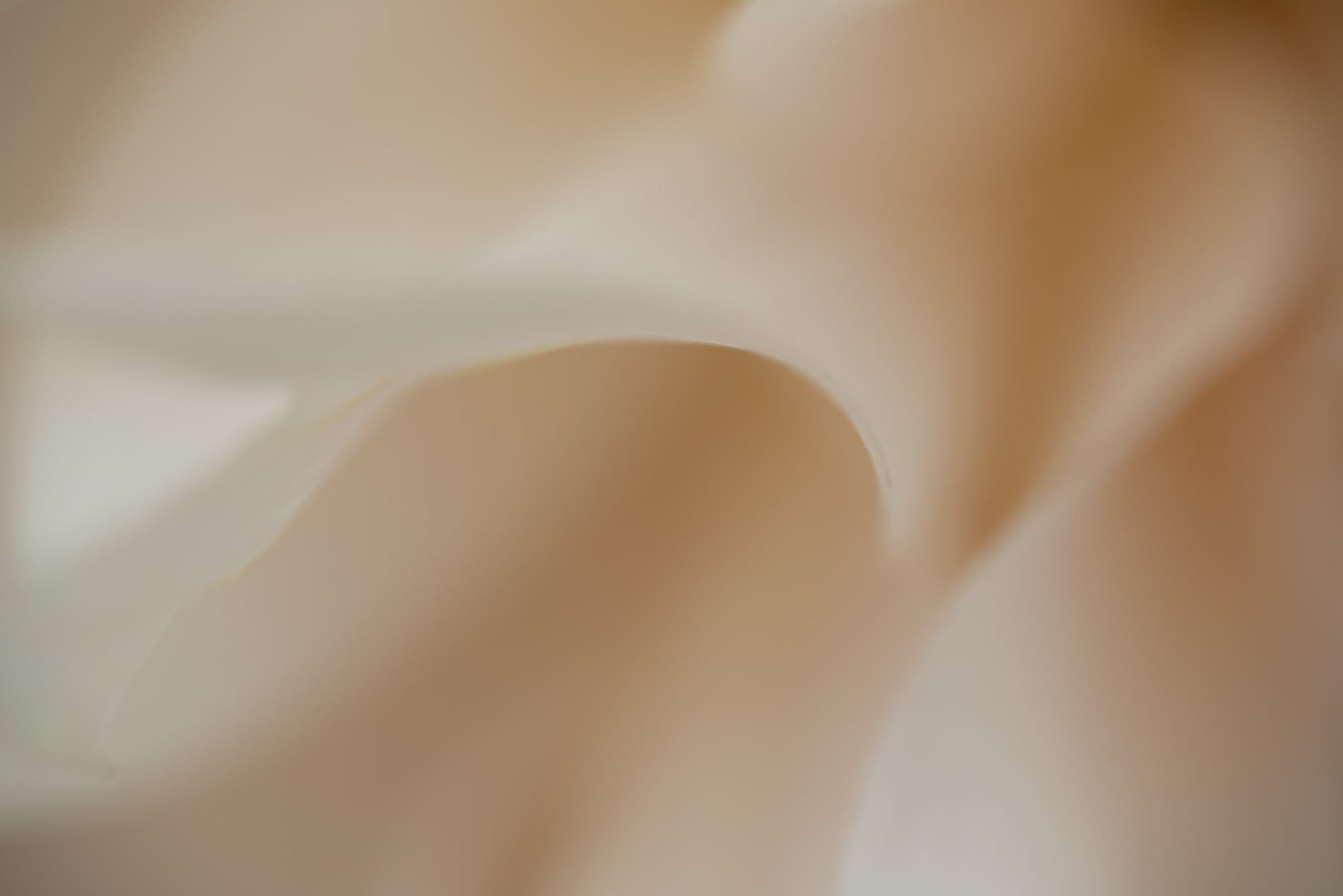 Atmosphere, artwork