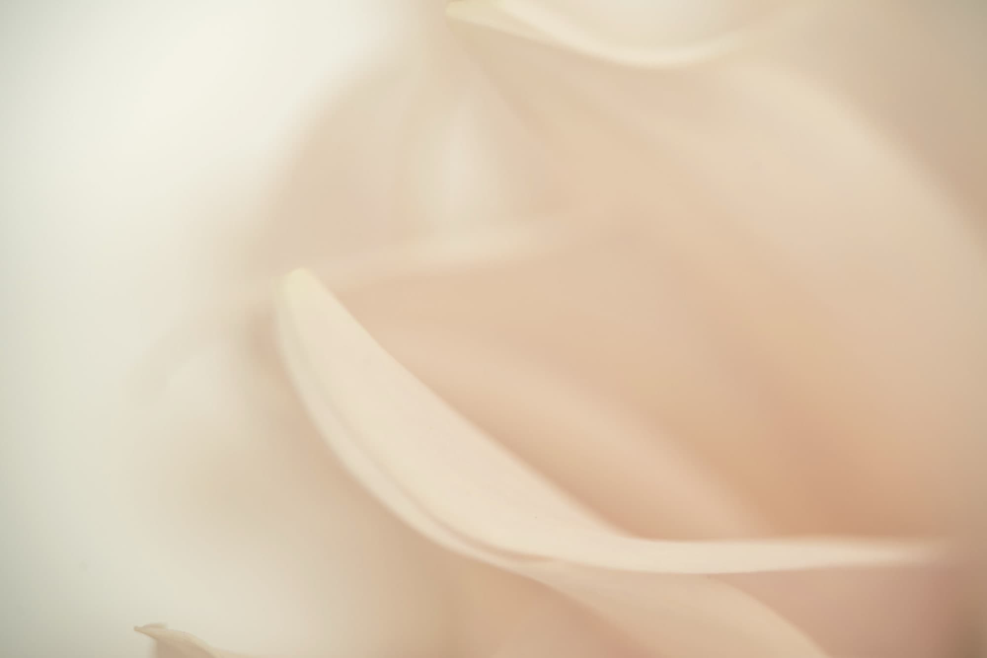 Float, artwork