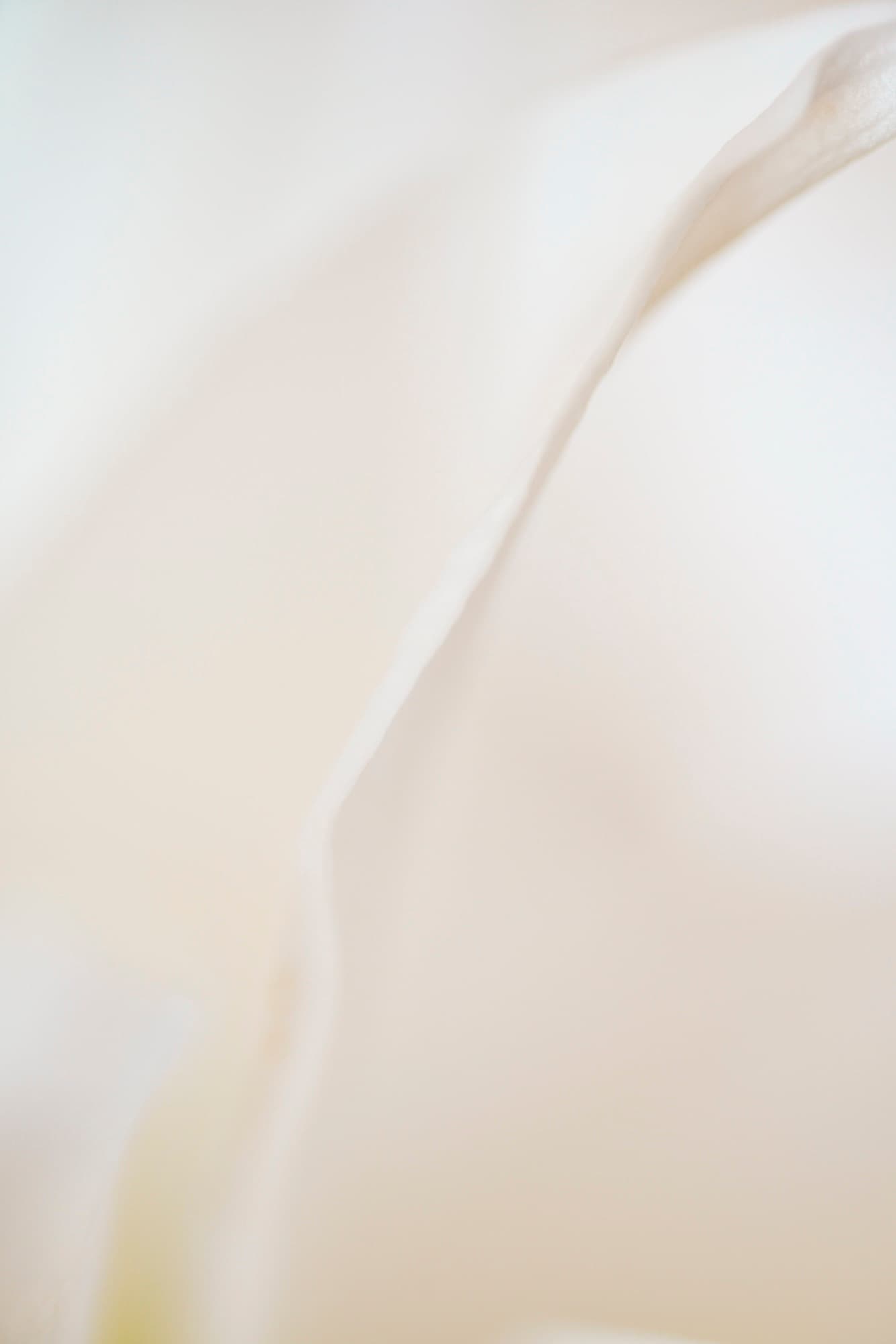 Flow, artwork