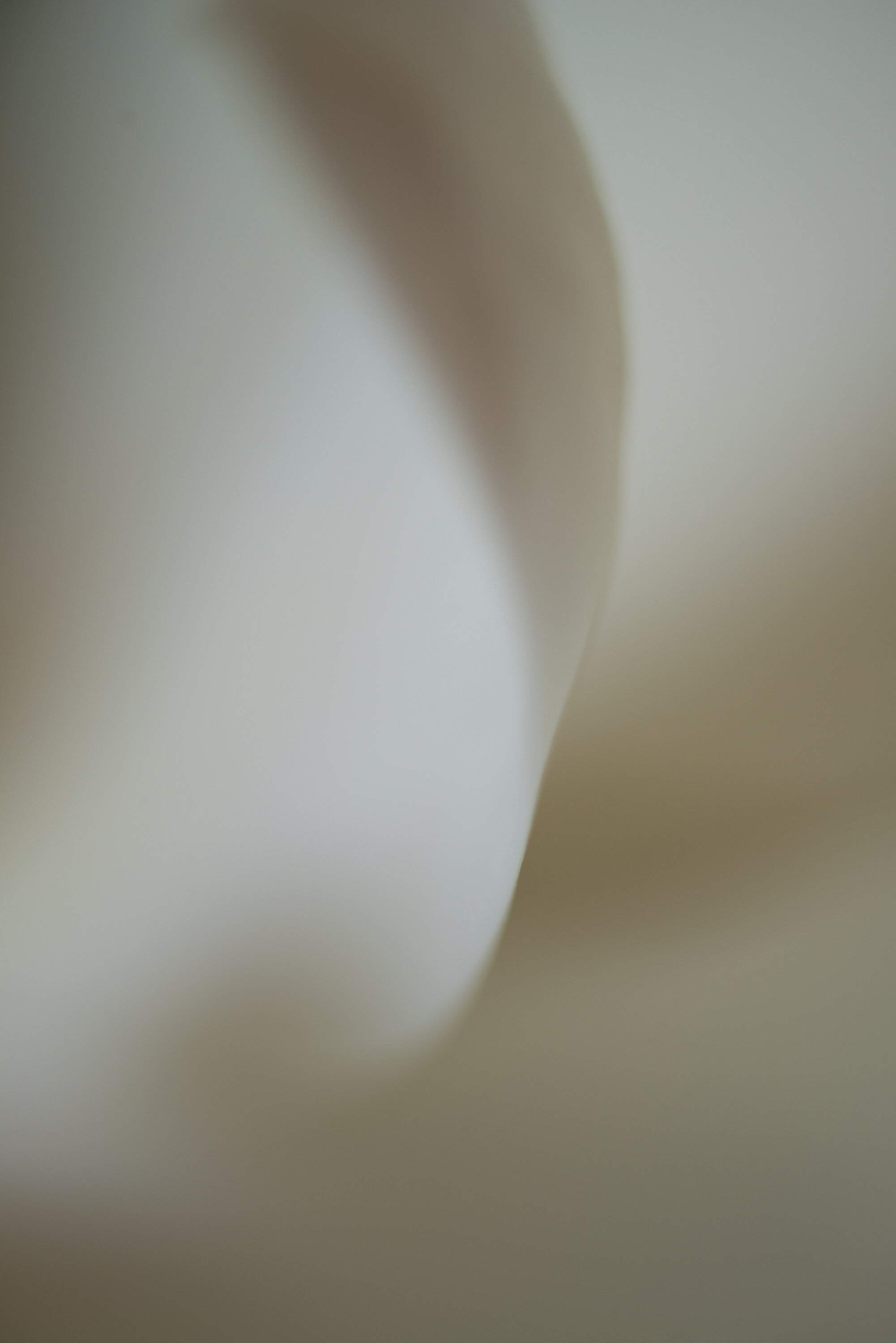 Composure Fine Art print full image unframed Kiki-Sunshine.com