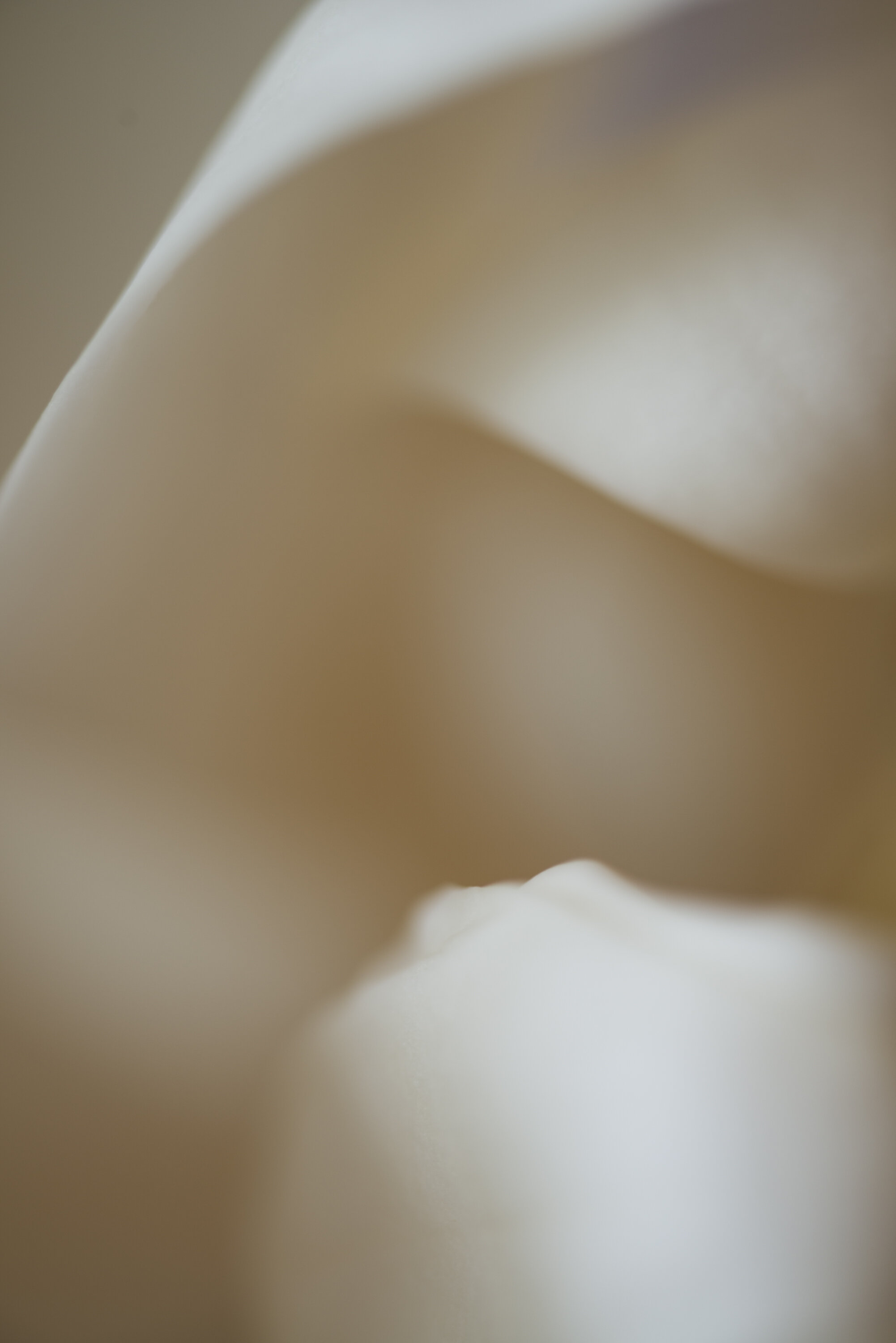 Shelter Fine Art print full image unframed Kiki-Sunshine.com