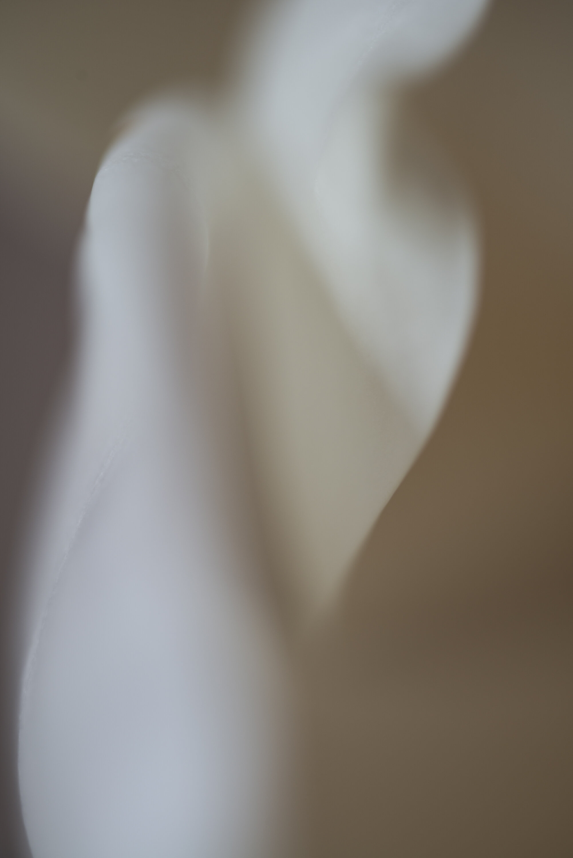 The Maiden Fine Art print full image unframed Kiki-Sunshine.com