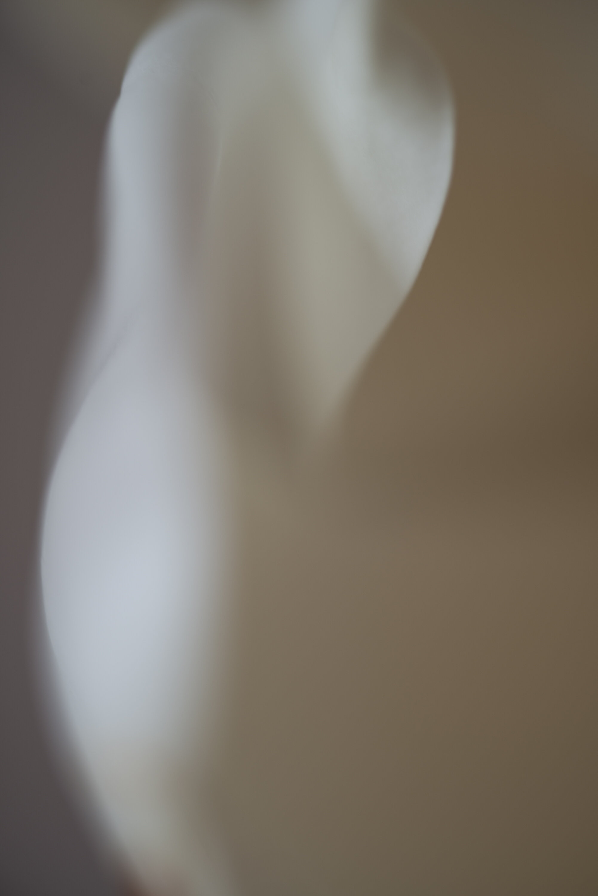 Undulate IV Fine Art print full image unframed Kiki-Sunshine.com