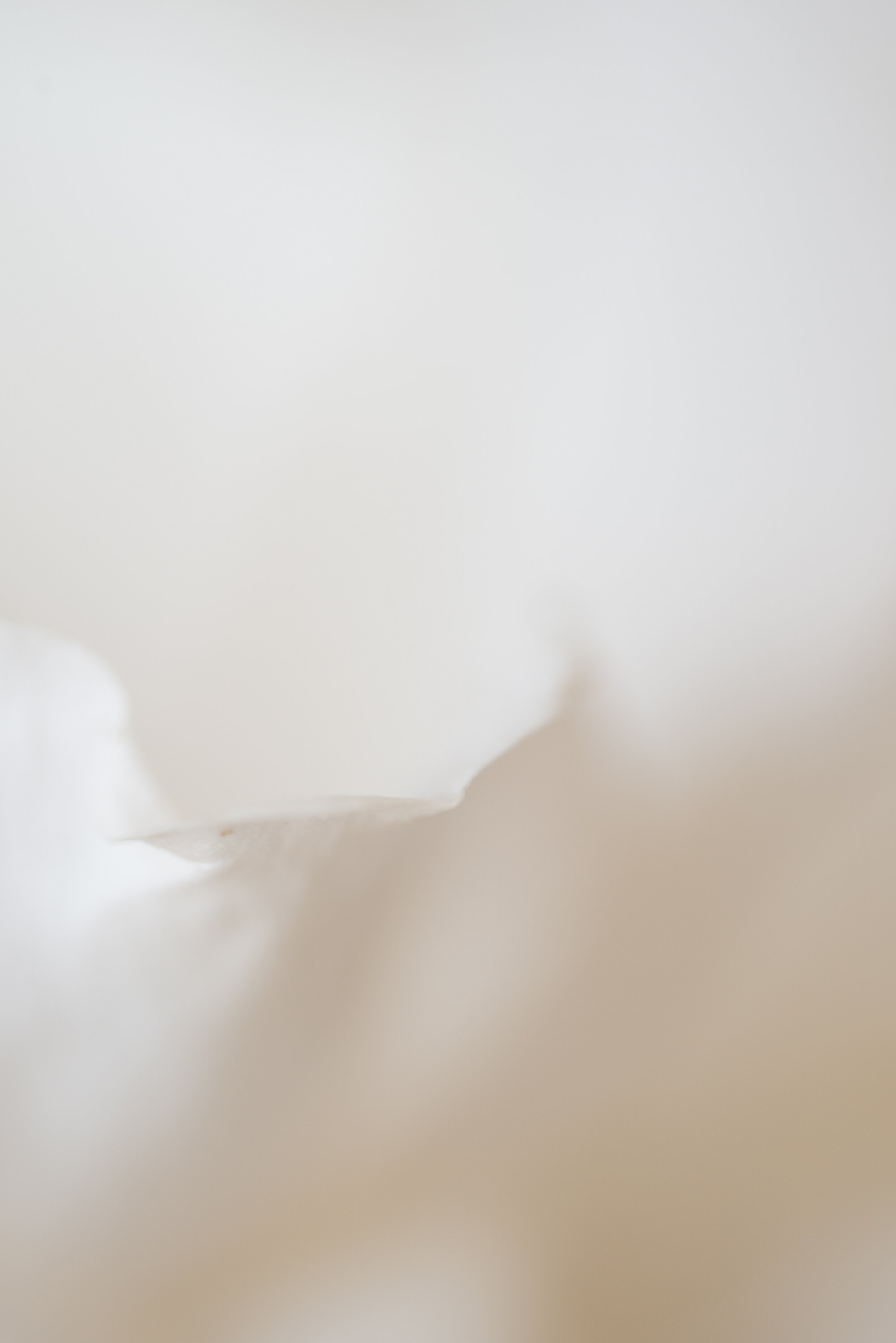 Quietude Fine Art print full image unframed Kiki-Sunshine.com