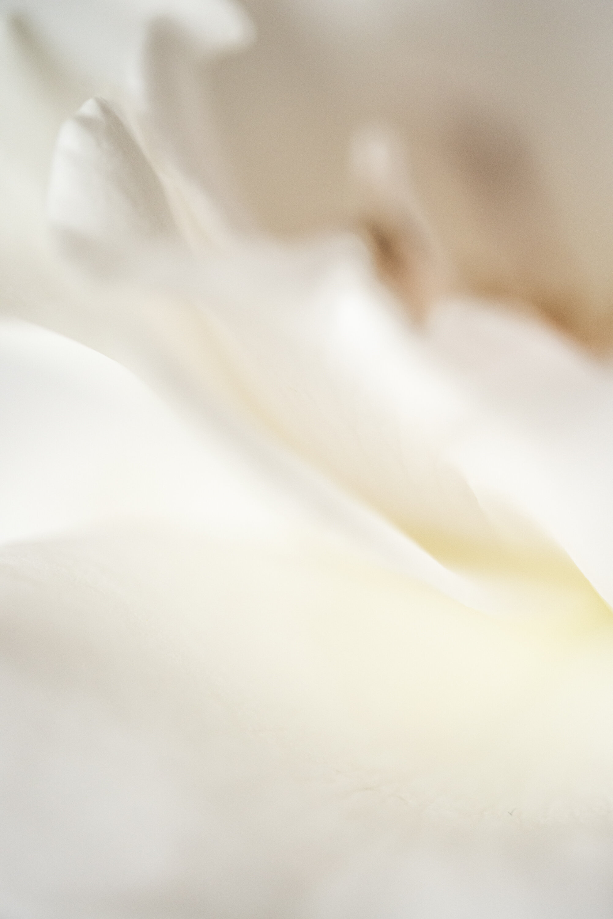 Rapture Fine Art print full image unframed Kiki-Sunshine.com