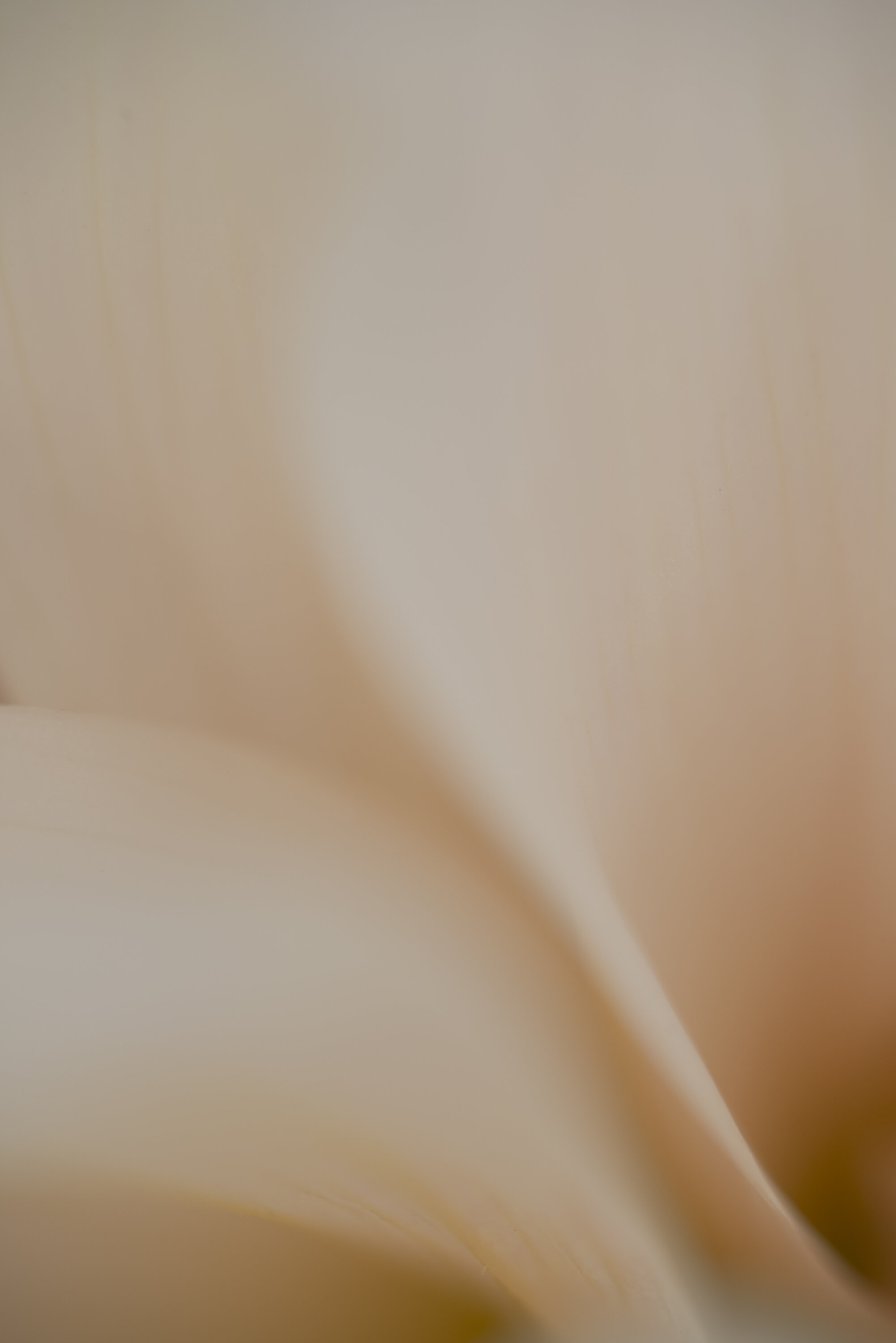 Open Fine Art print full image unframed Kiki-Sunshine.com