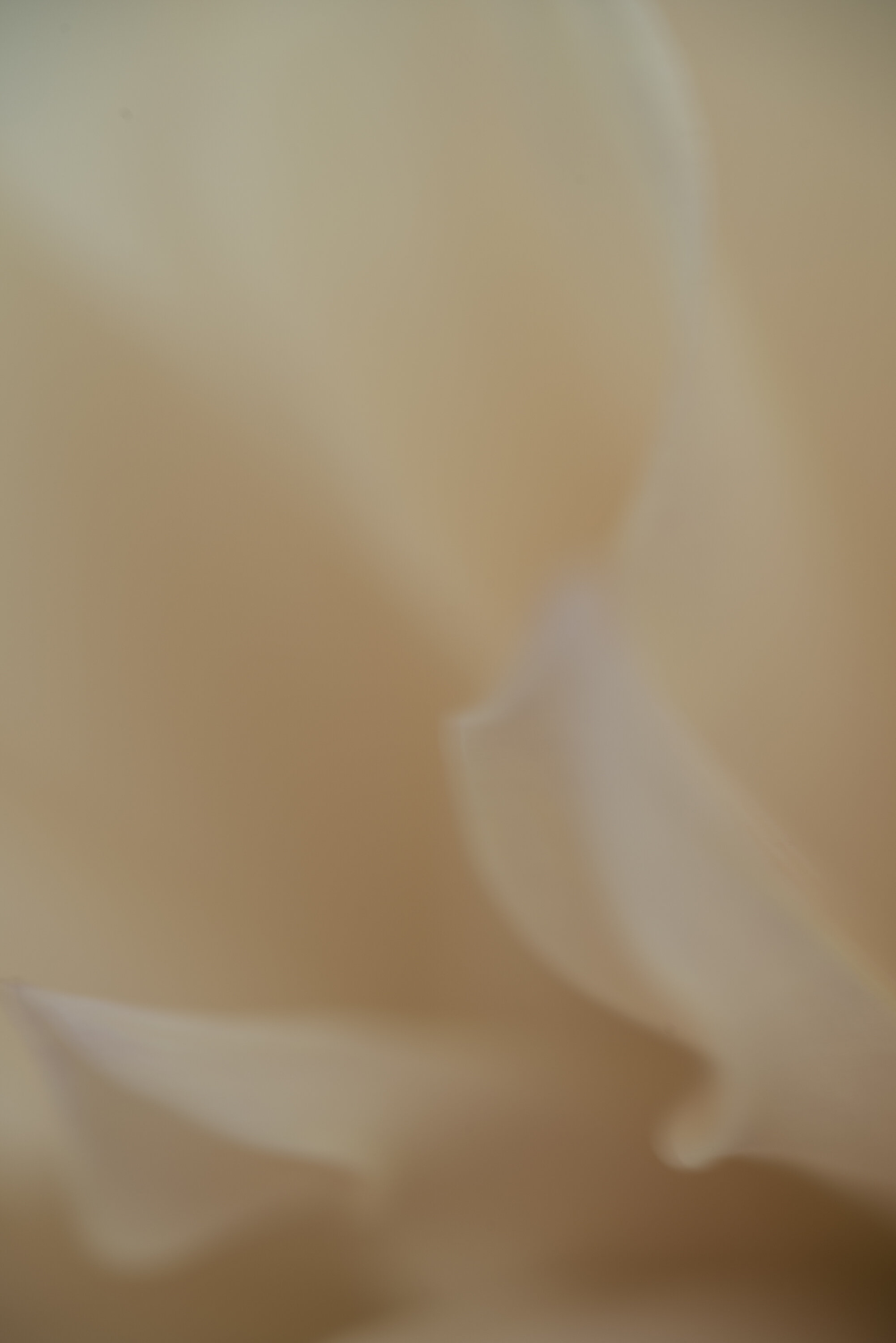 Patience Fine Art print full image unframed Kiki-Sunshine.com