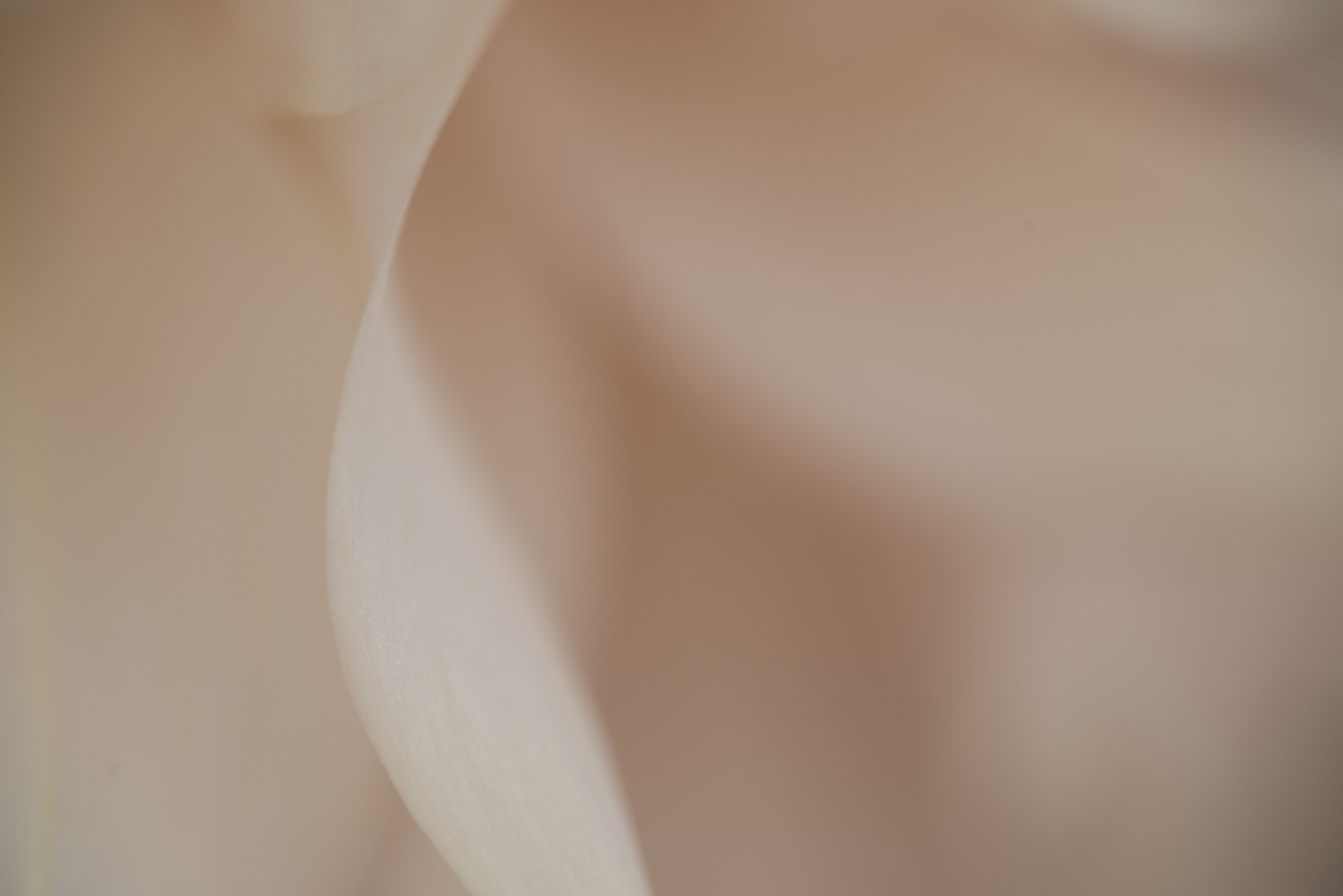 Undulate Landscape Fine Art print full image unframed Kiki-Sunshine.com