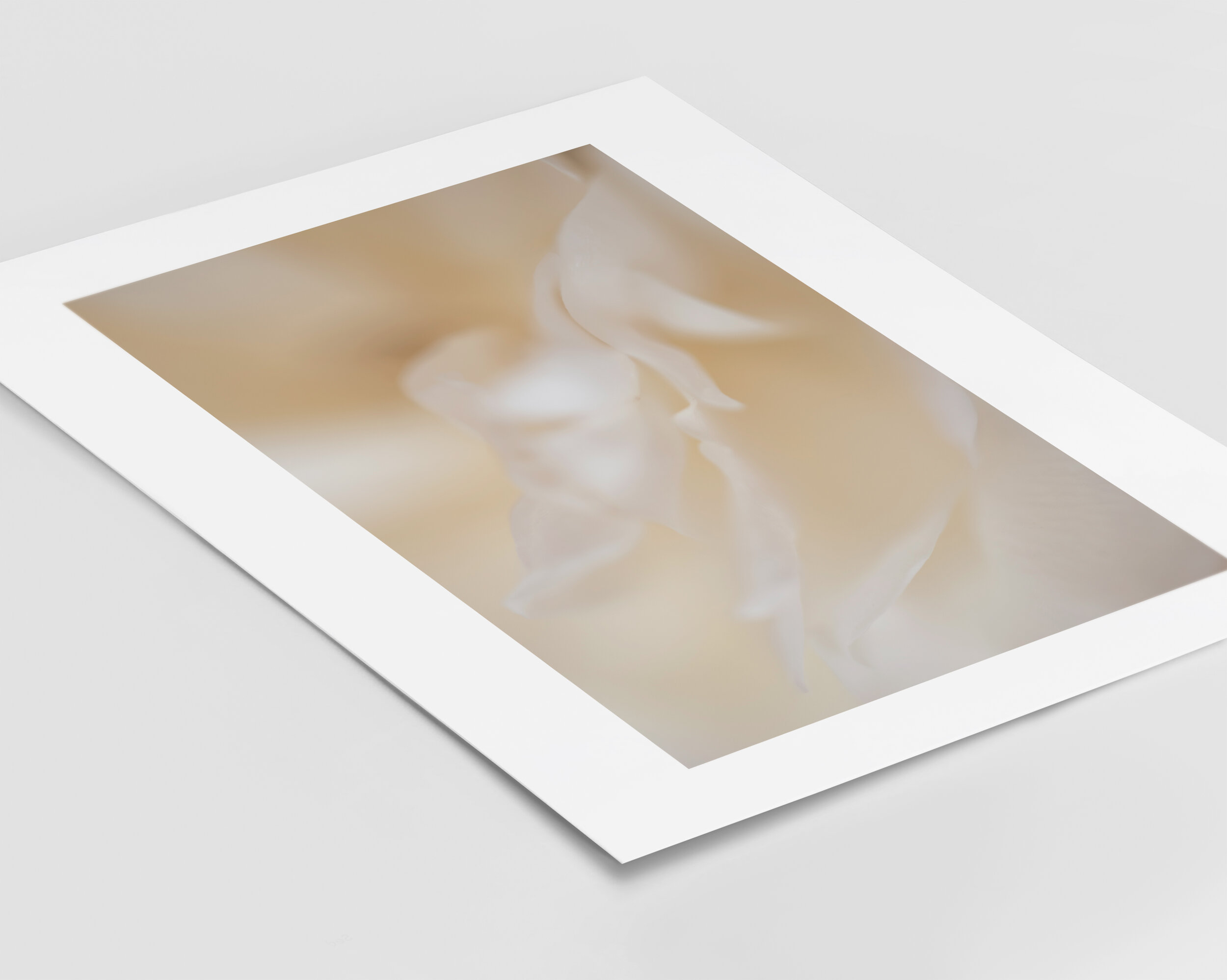 Joy Fine Art print cotton rag paper unframed Kiki-Sunshine.com