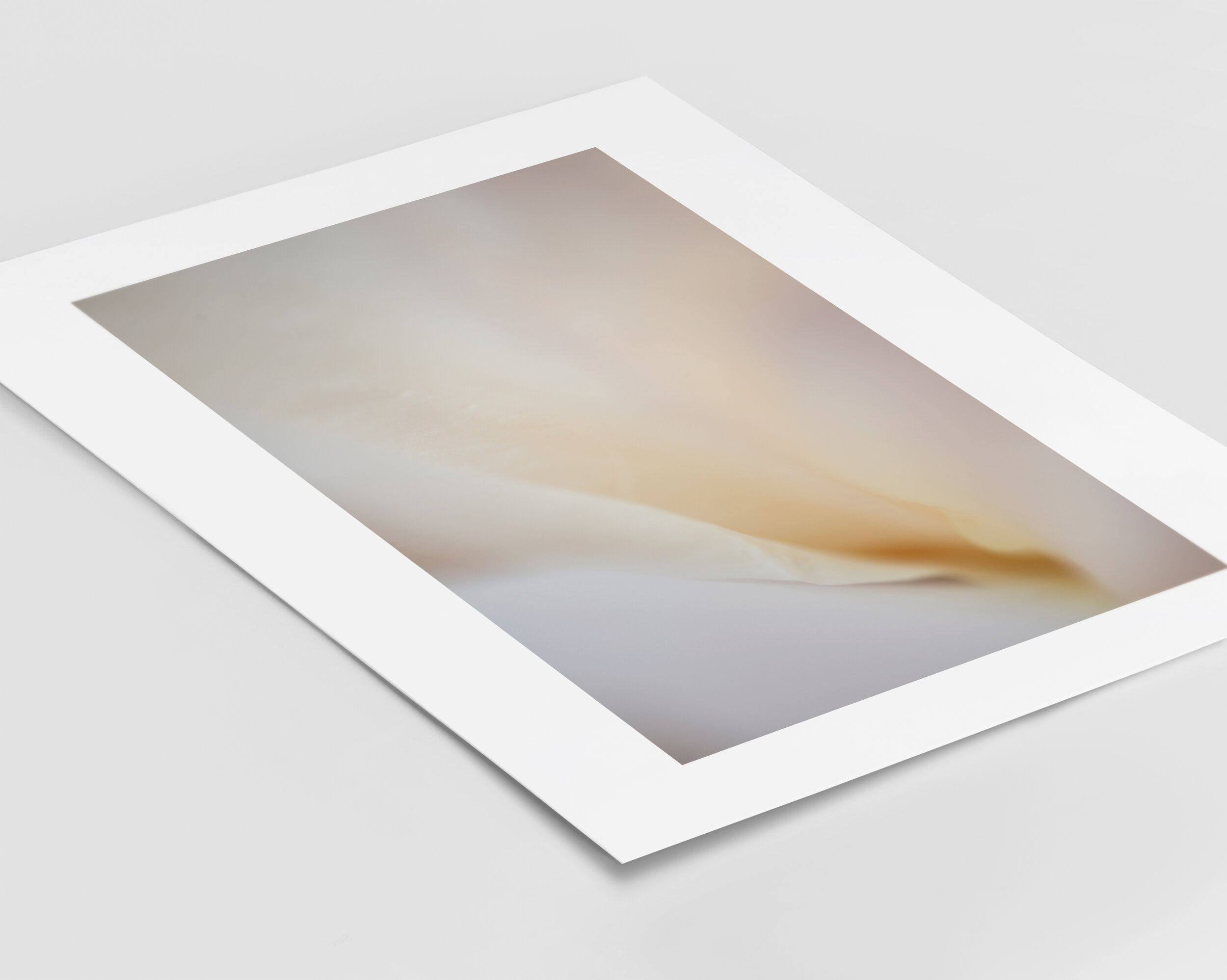 Linger Fine Art print cotton rag paper unframed Kiki-Sunshine.com