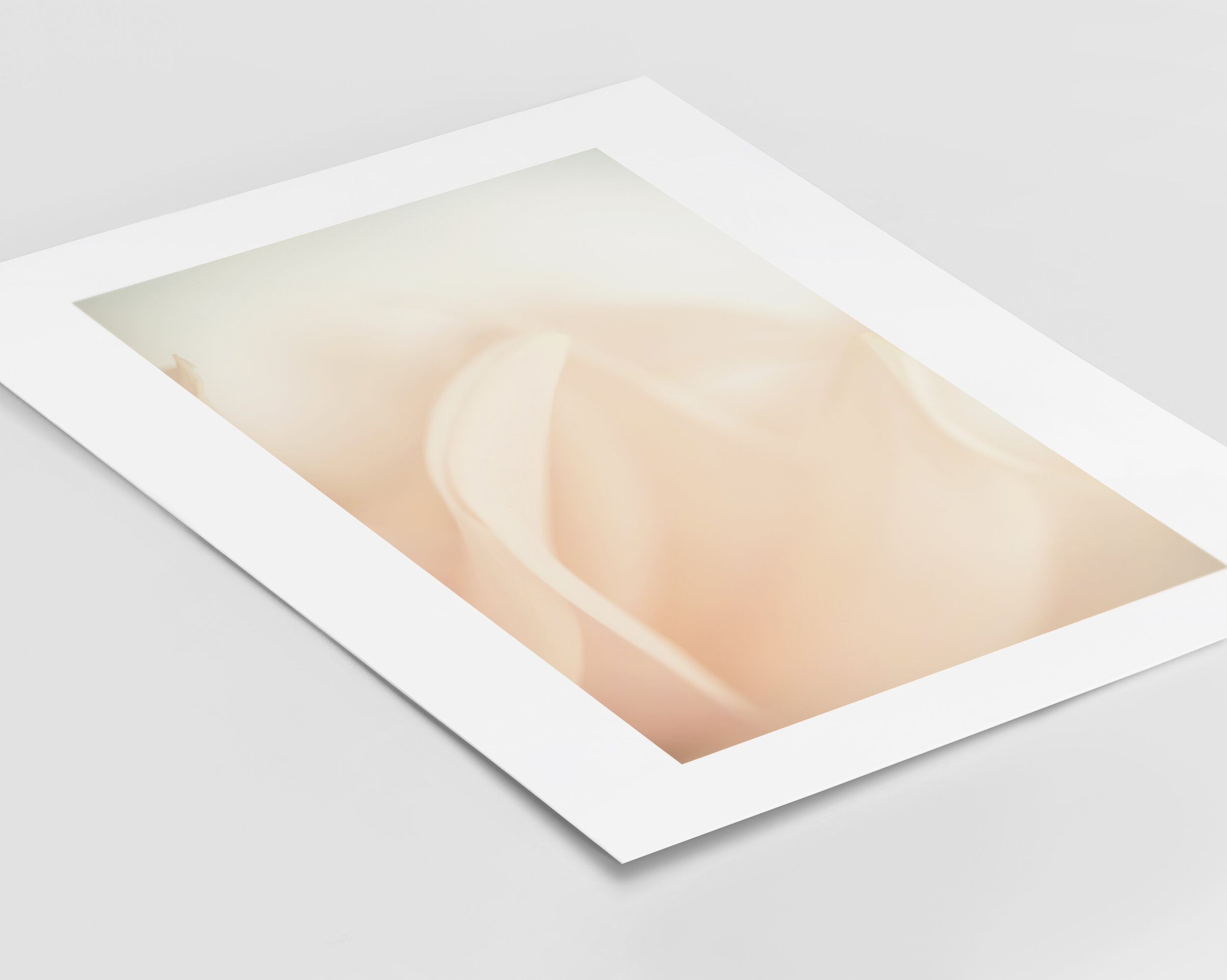 Float Fine Art print cotton rag paper unframed Kiki-Sunshine.com