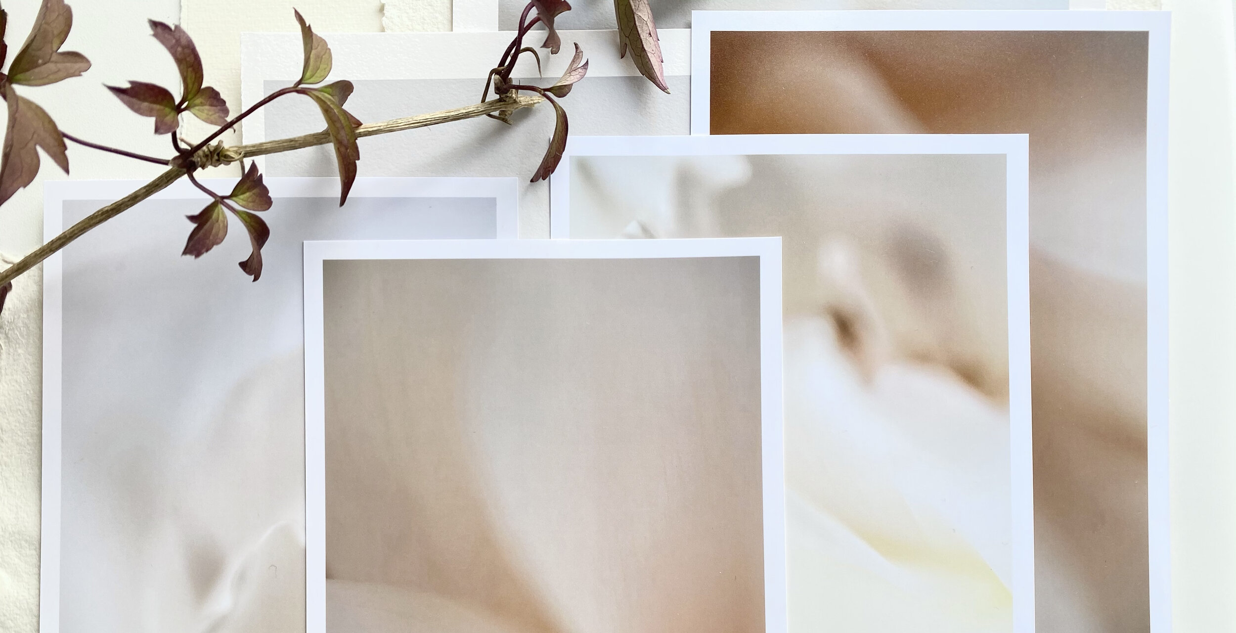 Prints flatlay crop for homepage copy.jpg