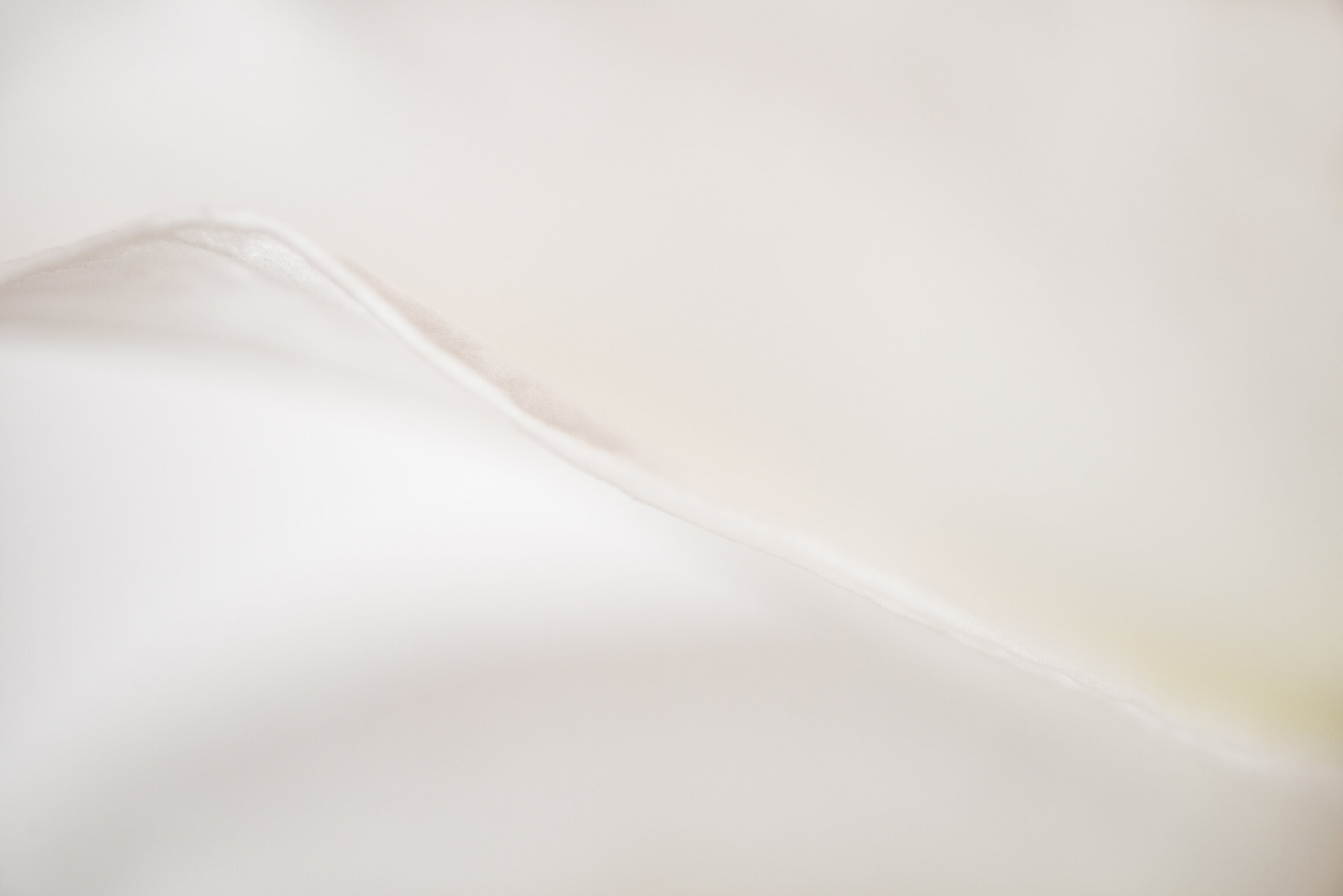 Crest Fine Art print full image unframed Kiki-Sunshine.com