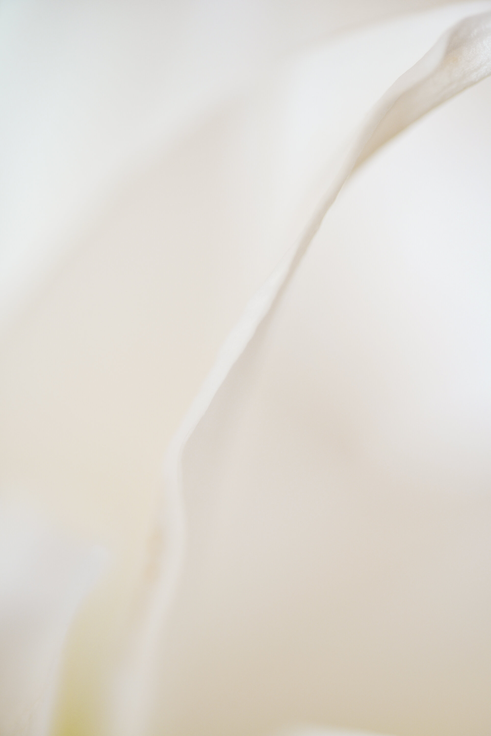 Flow Fine Art print full image unframed Kiki-Sunshine.com