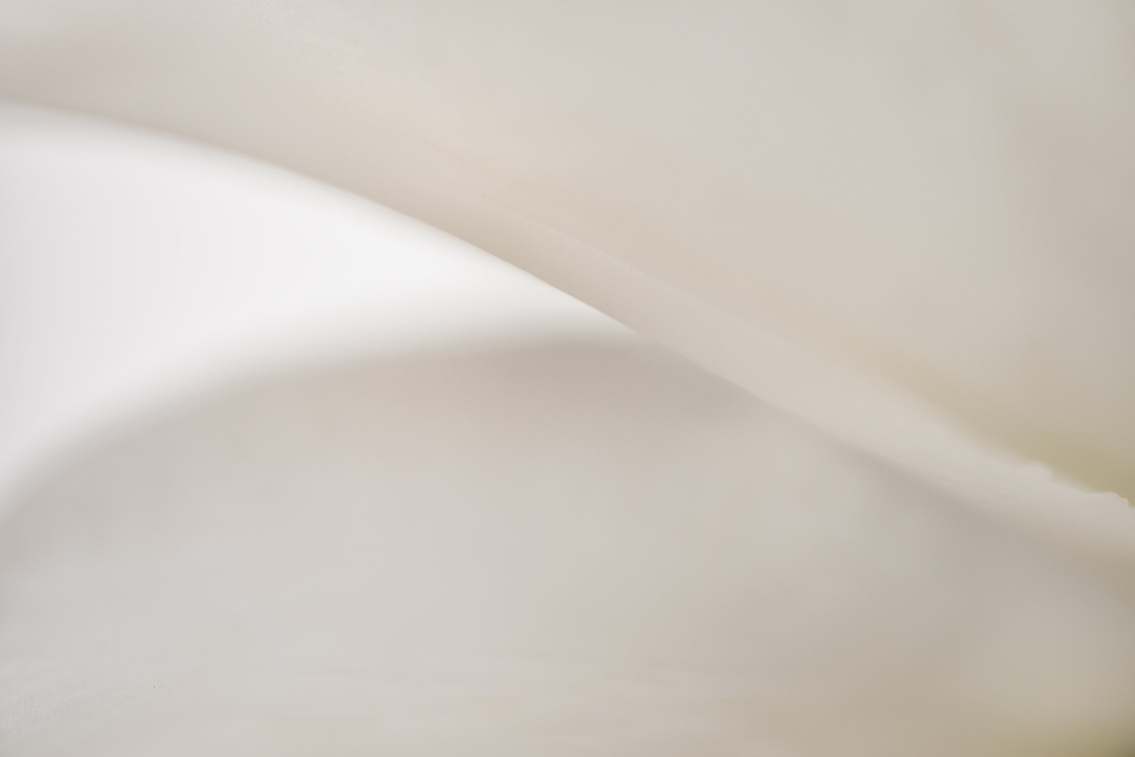 Wave Fine Art print full image unframed Kiki-Sunshine.com