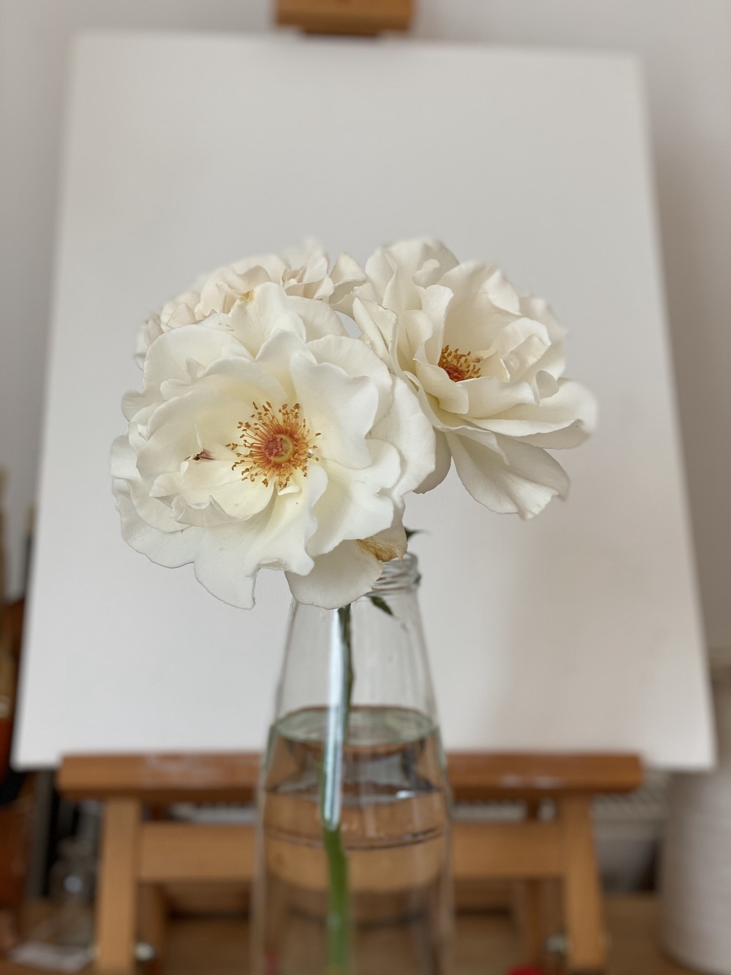 White roses in a glass bottle vase