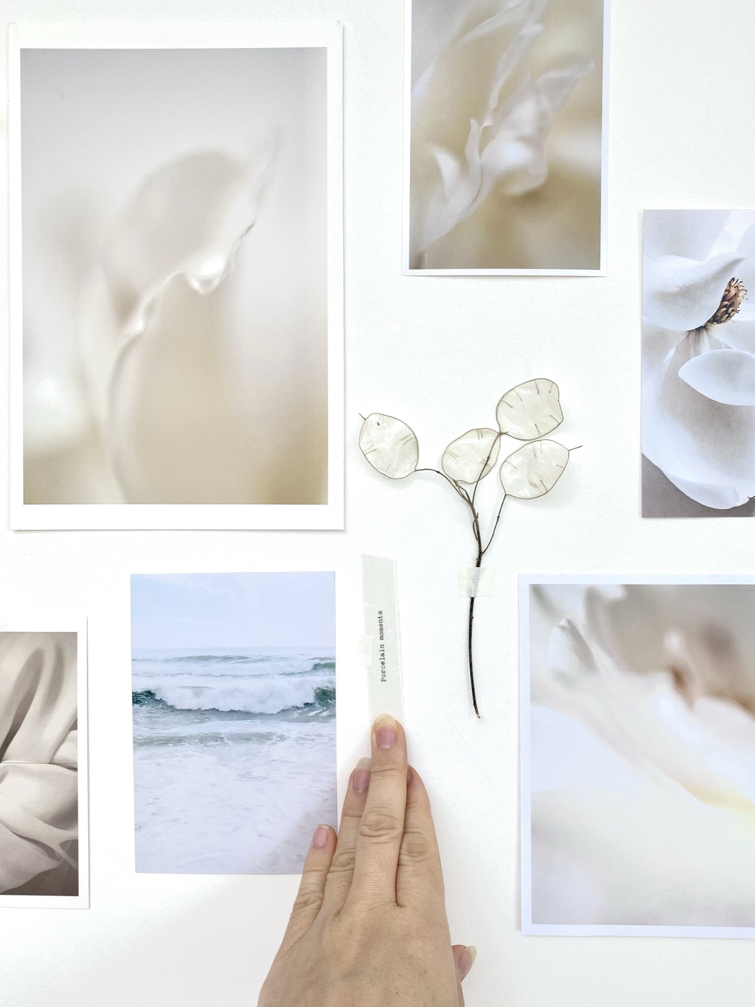 Inspiration wall of prints with a seascape photo and a dried honesty stem