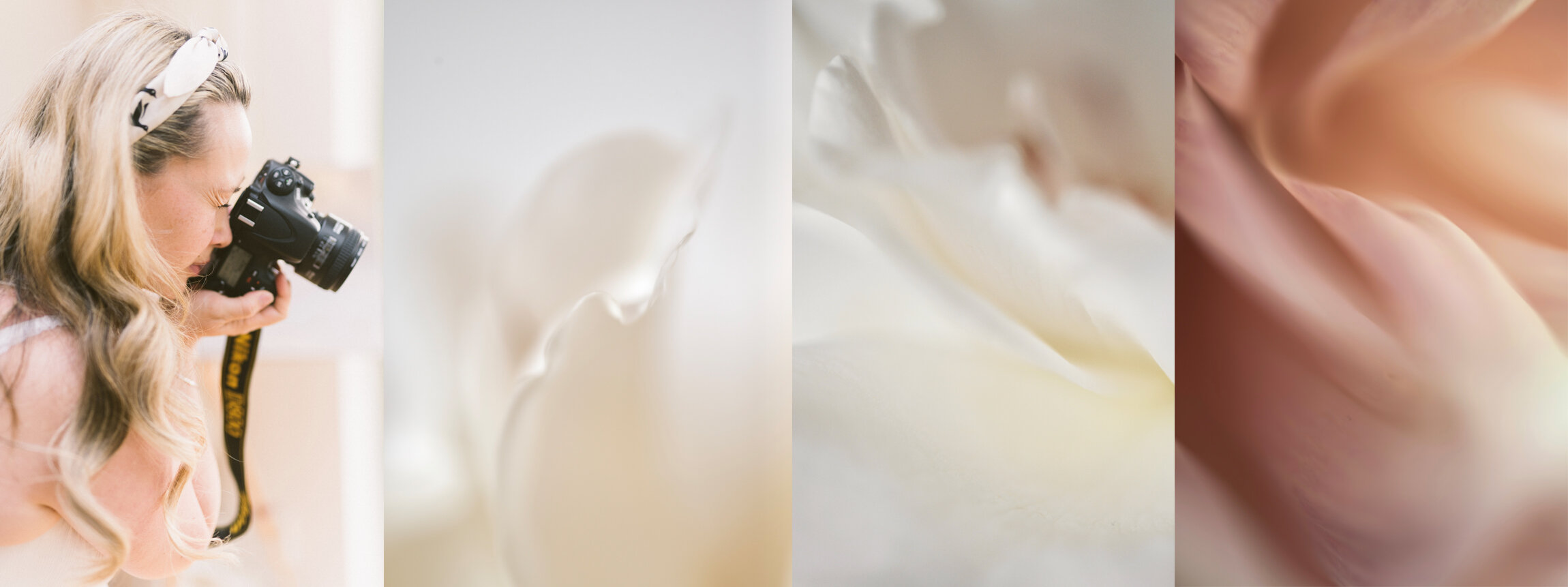 KSC website 0820 copy.jpg